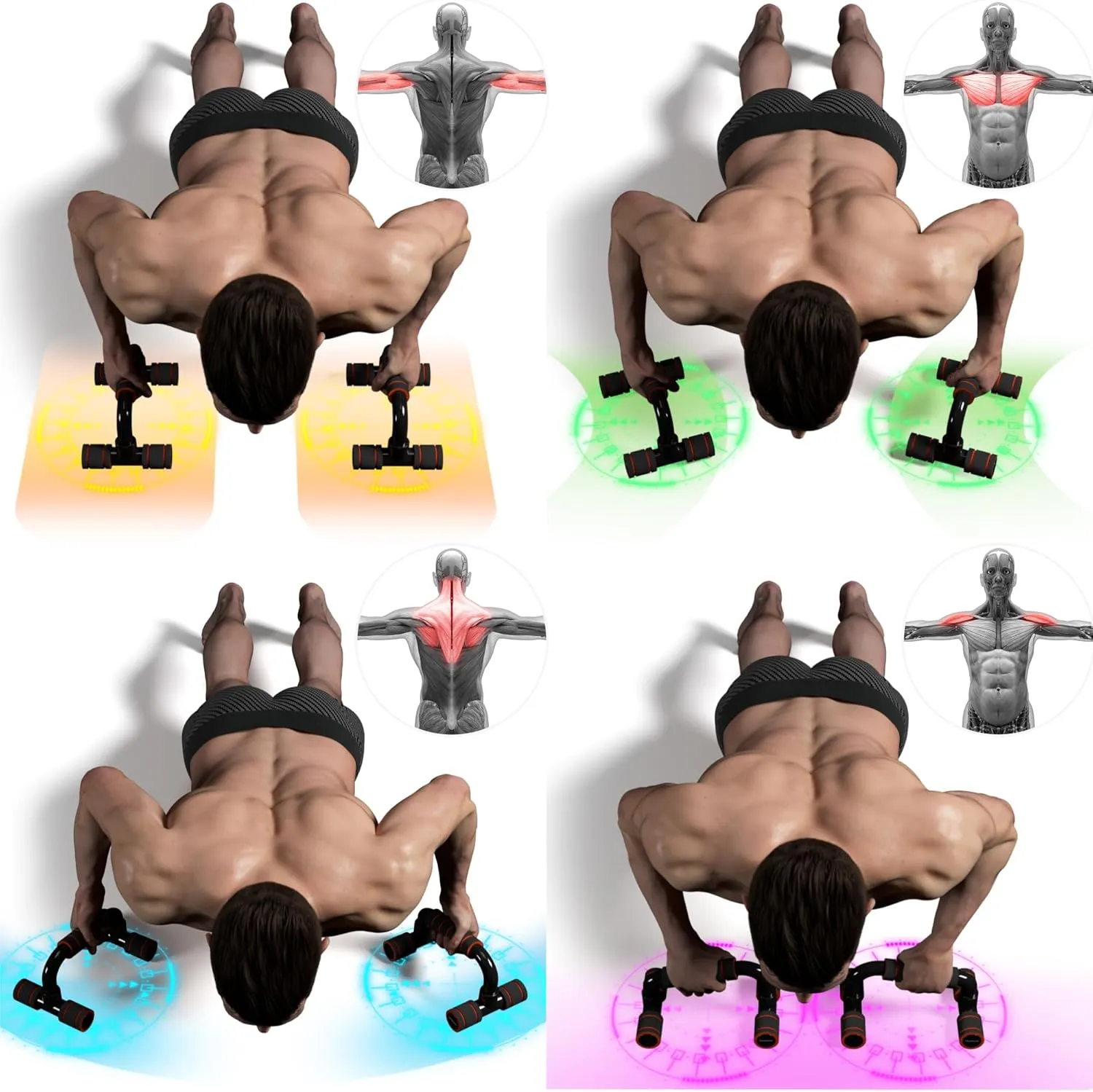 Push Up Bars Gym Exercise Equipment